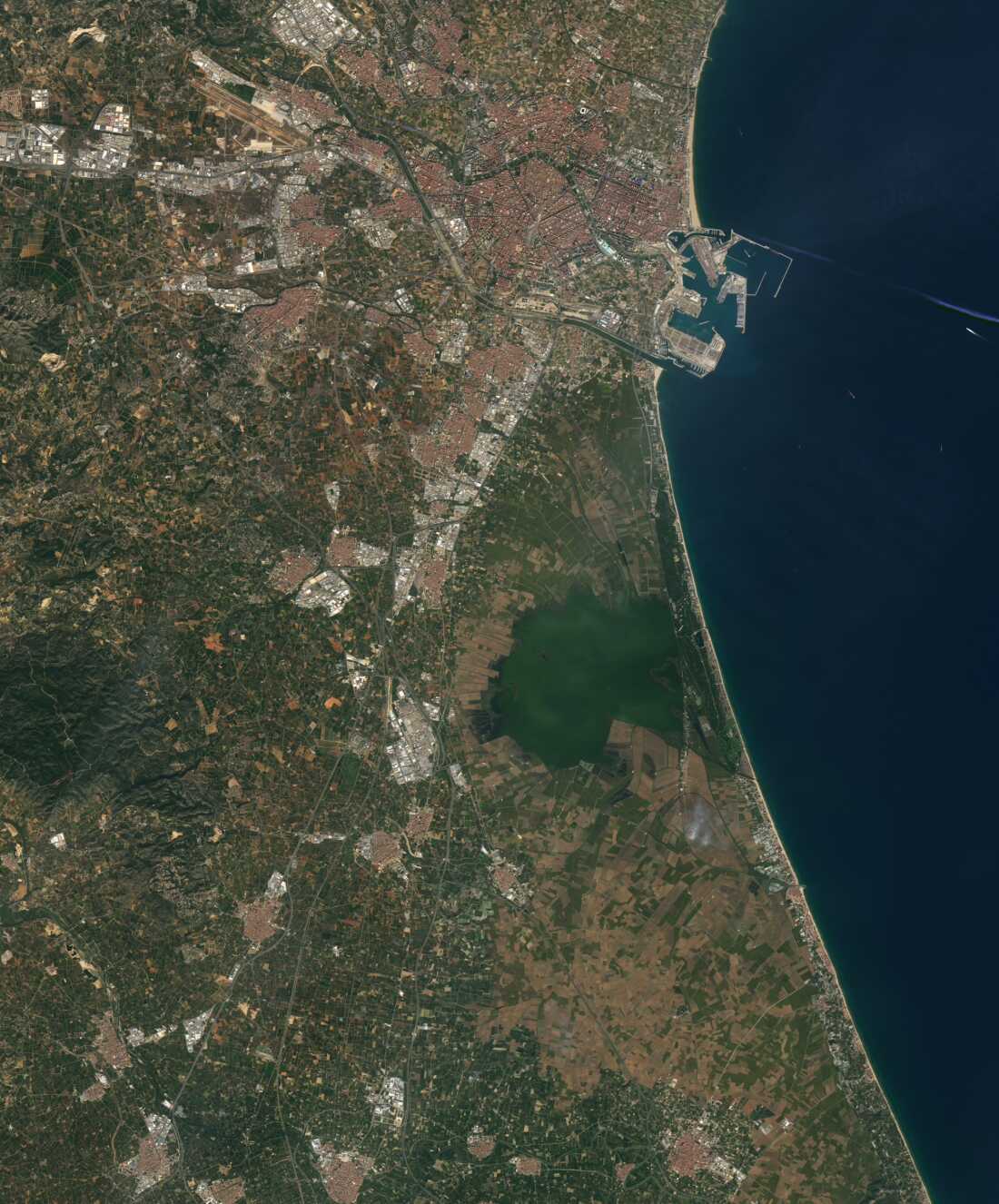 An image of Valencia, Spain on Oct. 25, 2022, taken from NASA's Landsat 8 satellite.