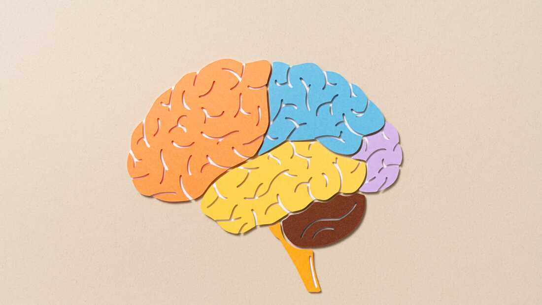 About 40% of dementia cases could be delayed or prevented by addressing 14 modifiable risk factors, according to a Lancet commission report.
