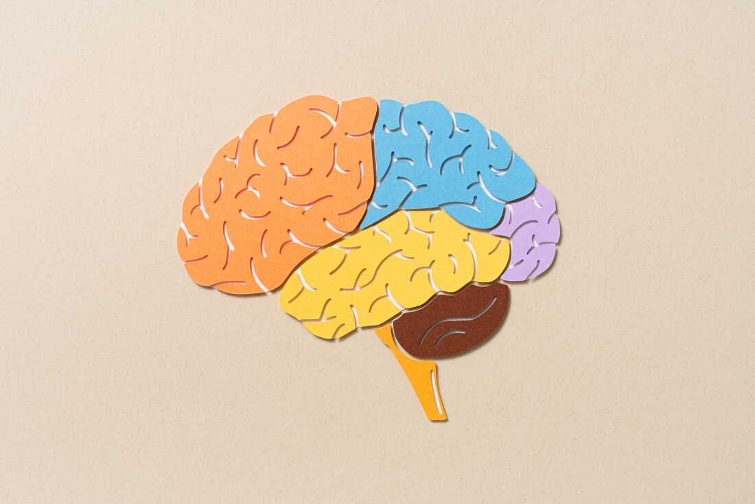 About 40% of dementia cases could be delayed or prevented by addressing 14 modifiable risk factors, according to a Lancet commission report.