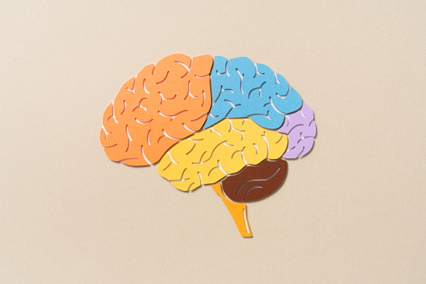 About 40% of dementia cases could be delayed or prevented by addressing 14 modifiable risk factors, according to a Lancet commission report.