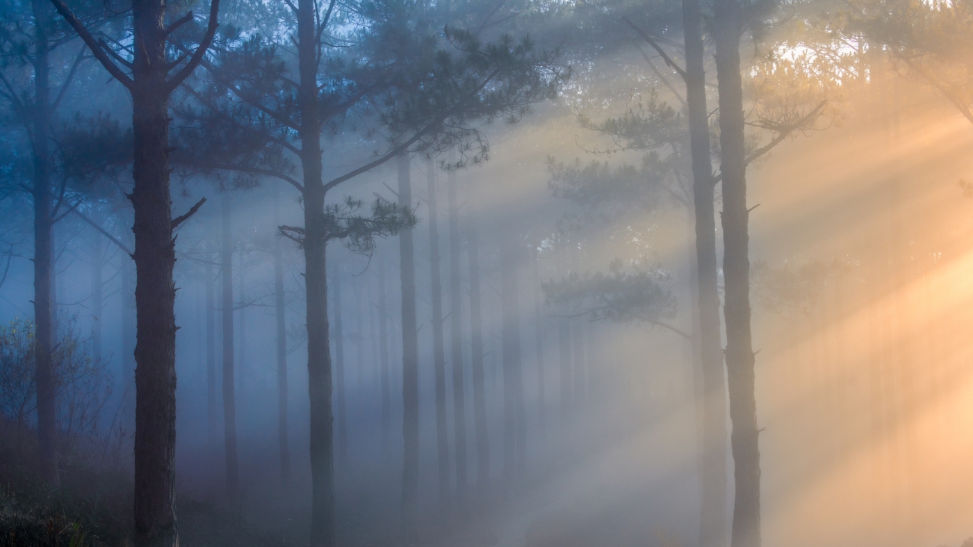 Illuminate Your Winter: How Light Therapy Can Combat Seasonal Depression and Boost Mood