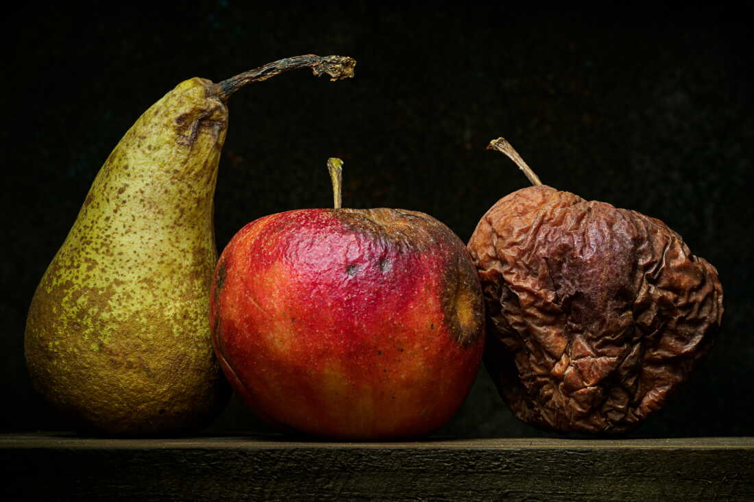 Fruit Rotti Sprouts Not too hard, not too soft, rotting fruit is just right - for fruit fly ...