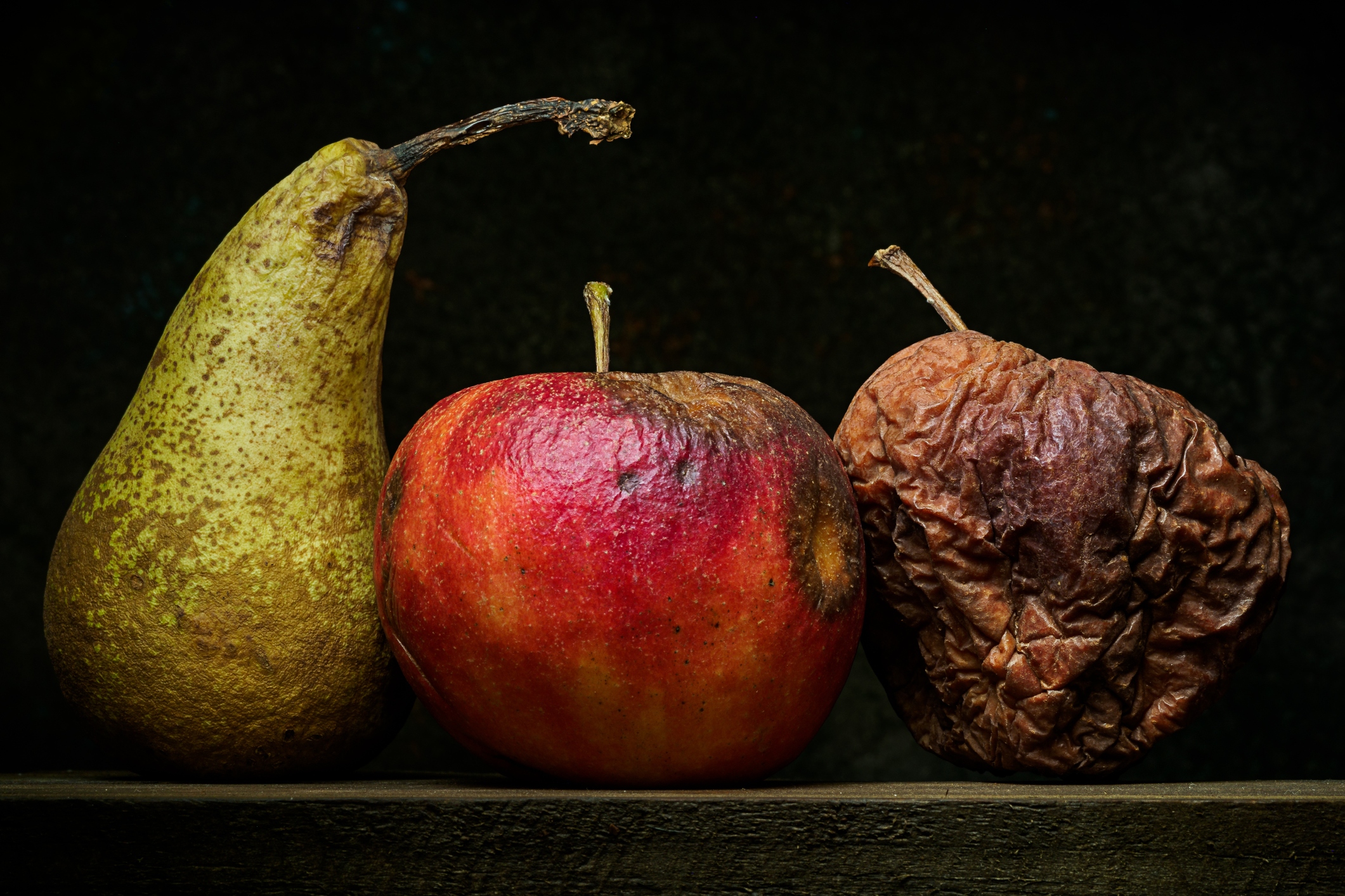 Fruit fly maggots prefer textures that are or closely resemble rotting fruit.