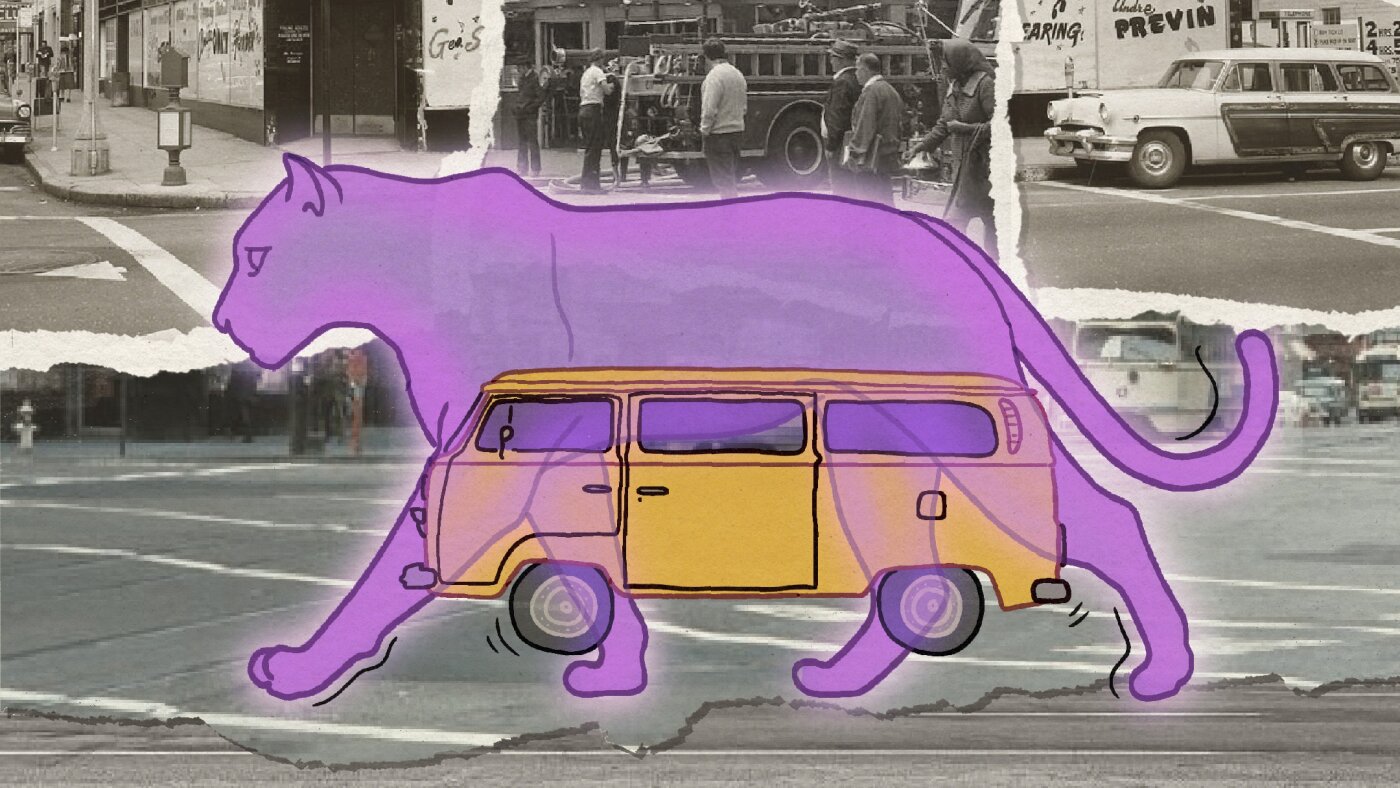 Militan LGBTQ+ hakları grubu ‘Lavanta Panterleri’ 1973’te bugün kuruldu