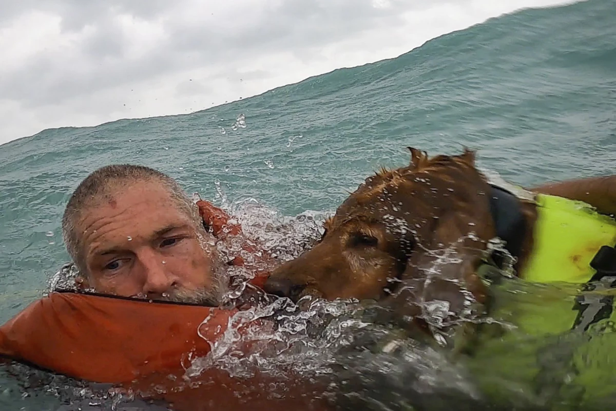This photo provided by U.S. Coast Guard District Seven (@USCGSoutheast) shows a man and his dog being rescued after his sailboat became disabled during Hurricane Helene approximately 25 miles off Sanibel Island, Fla., on Thursday, Sept. 26, 2024.