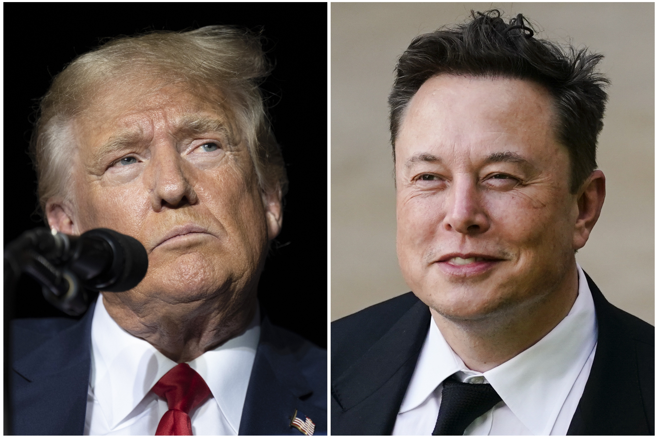 This combination of photos shows former President Donald Trump during rally in Minden, Nev., Oct. 8, 2022, left, and Elon Musk in Wilmington, Del., July 12, 2021. (AP)