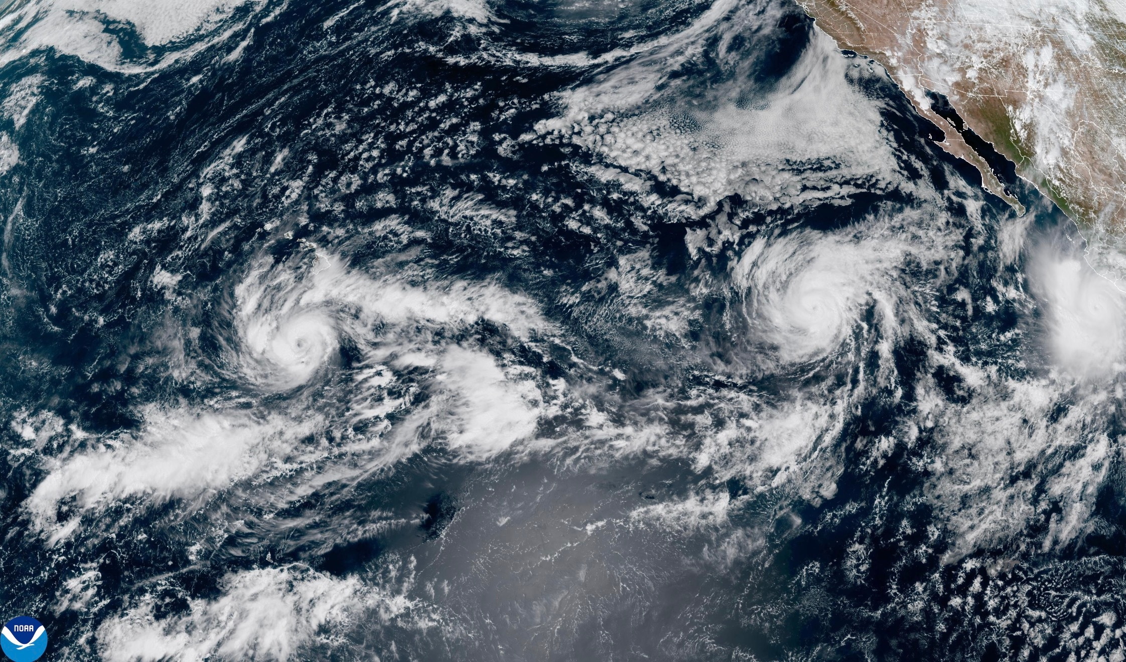 The Pacific is churning with hurricanes. The Atlantic is quiet. Blame El Niño