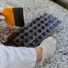 This photo shows the gloved hands of an employee at the testing lab of Planet A Foods handling ChoViva, a cocoa-free chocolate alternative. The employee's right hand is on the right side of a tray indented with several rows of round molds holding viscous-looking ChoViva. The employee's left hand holds a scraper.