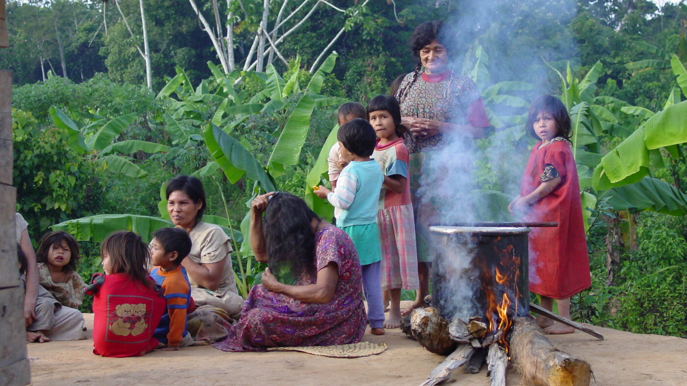 Gut microbes followed migrating humans across continents, new study suggests