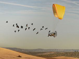 Ibises take flight, led by scientists in an ultralight aircraft in this image which was the overall winner of this year's <a href=