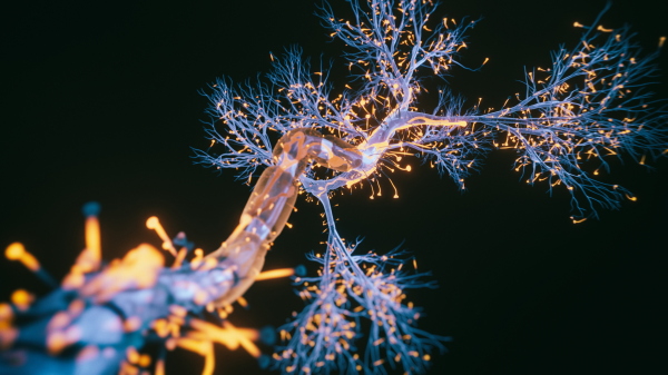 Scientists have found one type of neuron is affected early in Alzheimer's.