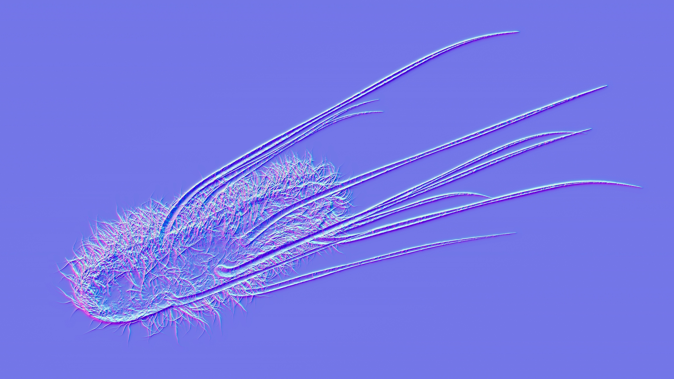 Escherichia coli or E. coli is a part of family of bacteria that are commonly found in the human gut. Scientists found that a toxin the bacteria release is linked to some cases of colorectal cancer.