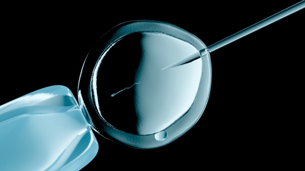 IVF is a process that involves retrieving eggs from ovaries, fertilizing them with sperm in a lab, and then transferring embryos into the uterus.