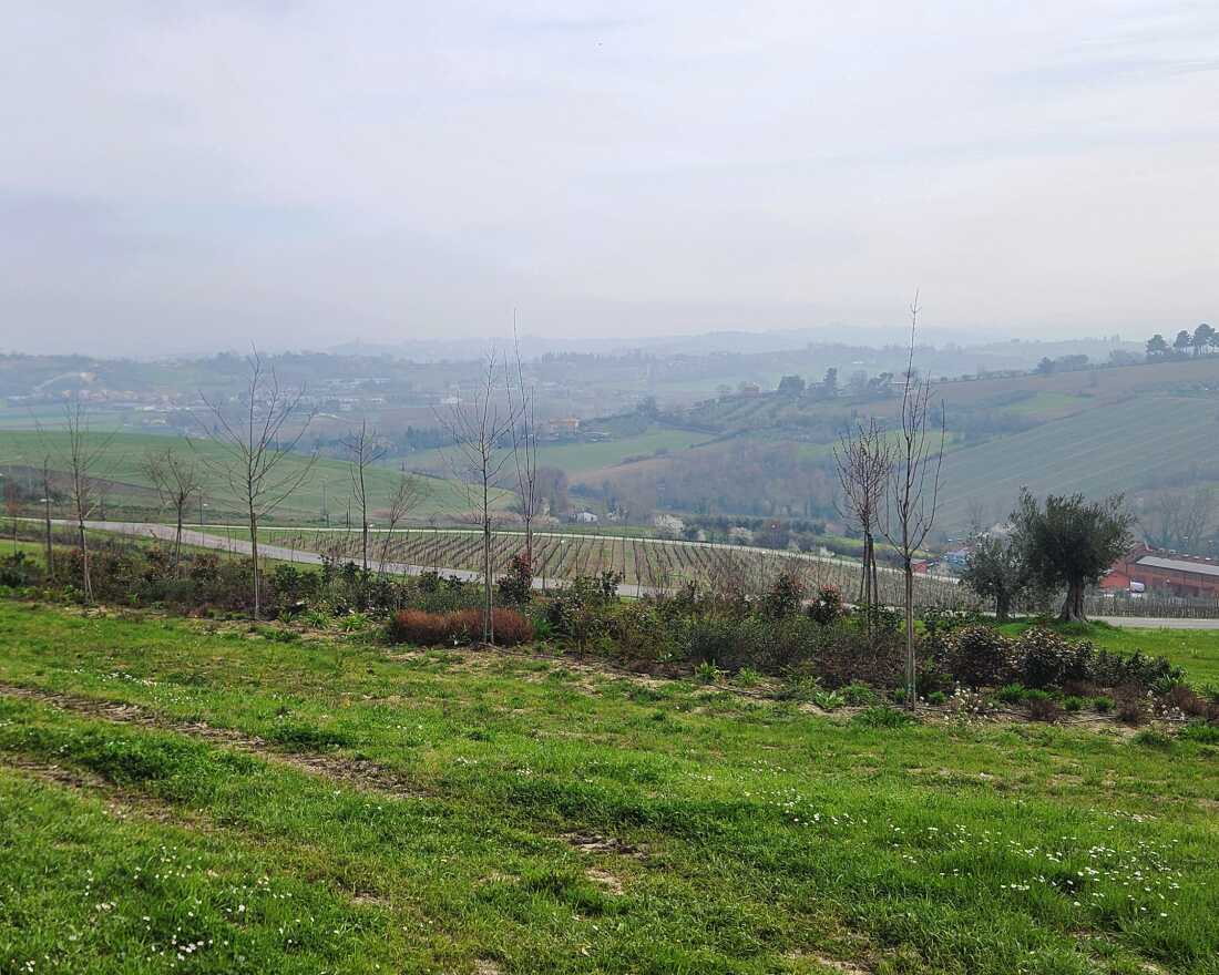 San Patrignano, established in 1978, is a rural community for people struggling with addiction that spreads over roughly 700 acres in the Italian countryside. Health Secretary Robert Kennedy has pointed to the community as a model for farm camps in the U.S.