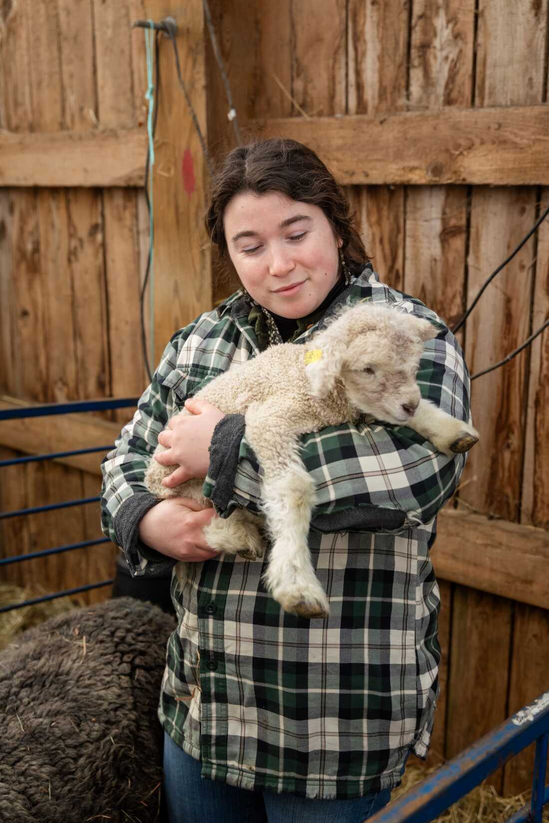LillyAnne Keely holds a newborn lamb in the barn at Sterling College in Craftsbury Common, Vermont, which focuses on agriculture and related disciplines. The college has announced that it will close at the end of this semester.