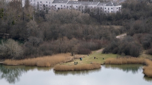 green spaces