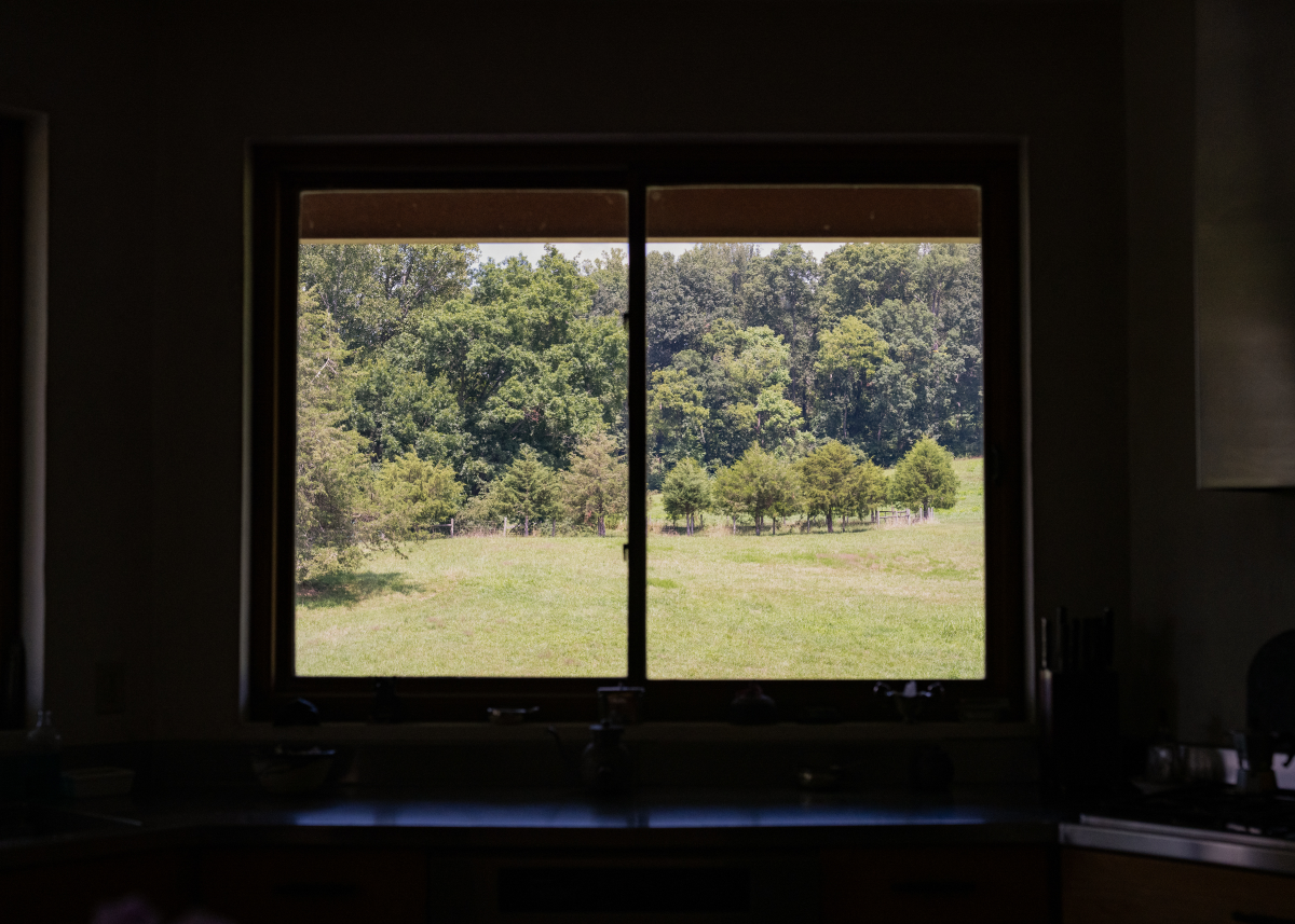 A window at Sally Mann's Virginia home.