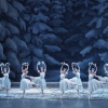 New York City Ballet’s production of George Balanchine’s The Nutcracker.