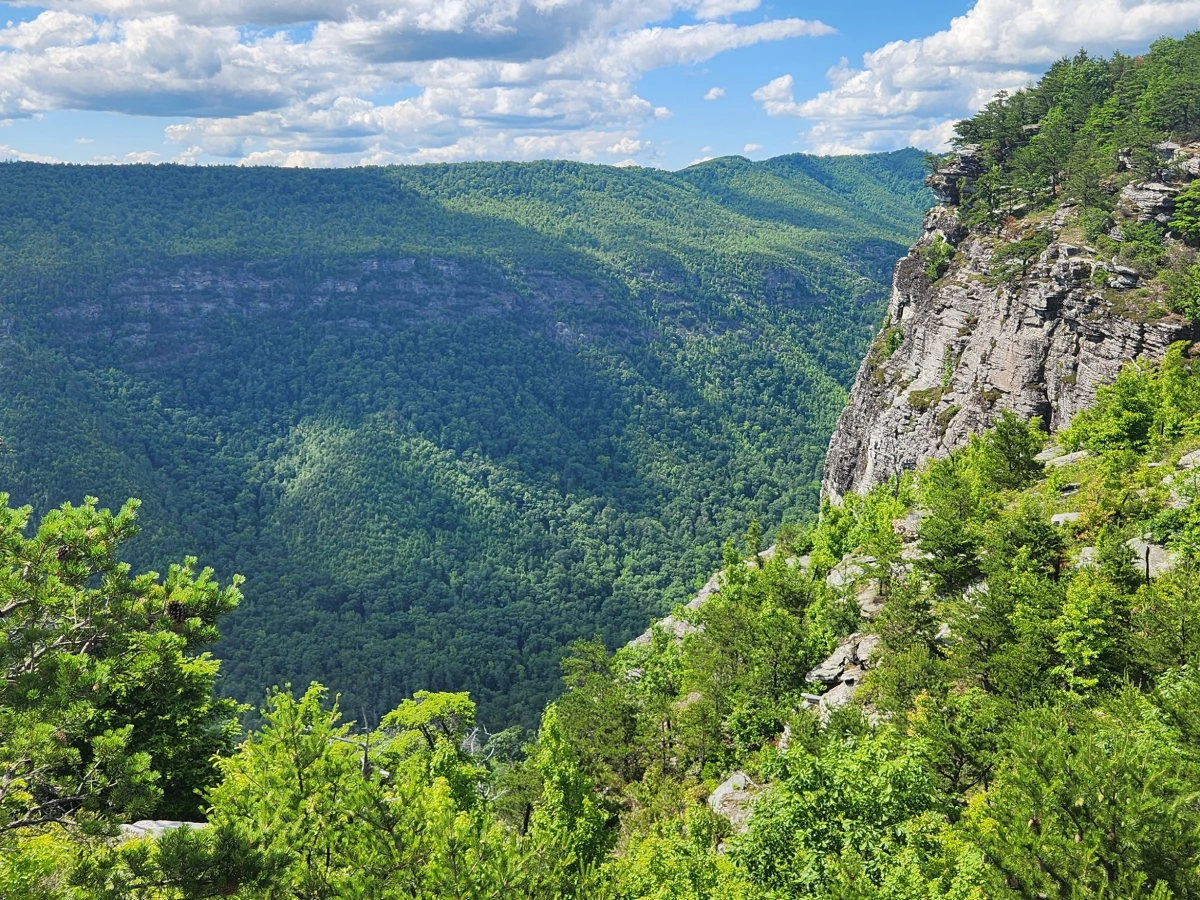 The Linville Gorge is framed by formations of rock that look in places like old castle walls.  In season, peregrine falcons next here.  The area offers some of the most popular hiking trails in the eastern U.S.