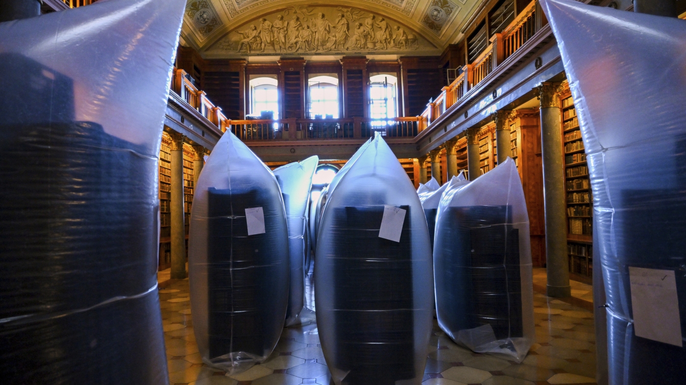 Hungary's oldest library is fighting to save 100,000 books from a beetle infestation