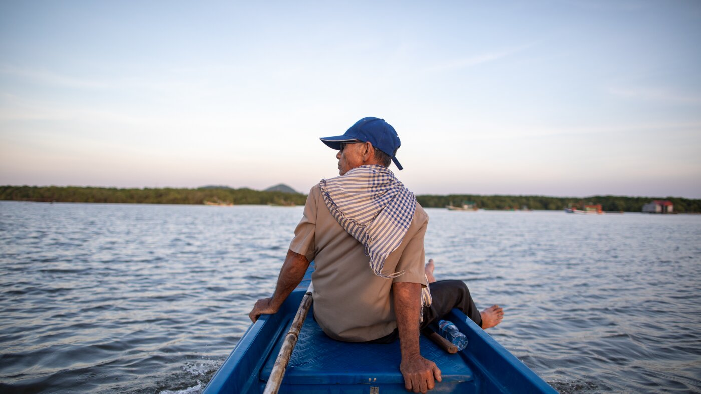 These trees brought a fishery back from the brink. They can help you too