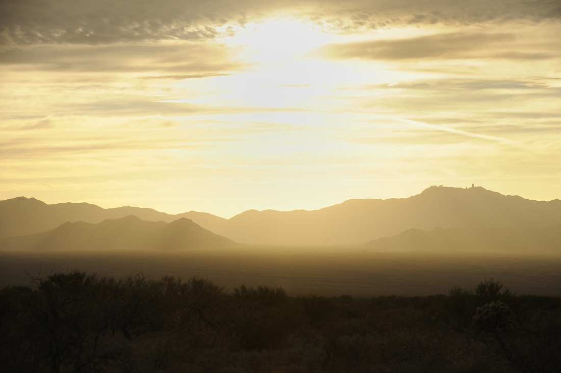 The Sonoran Desert near Sasabe, Ariz. in Pima County. 