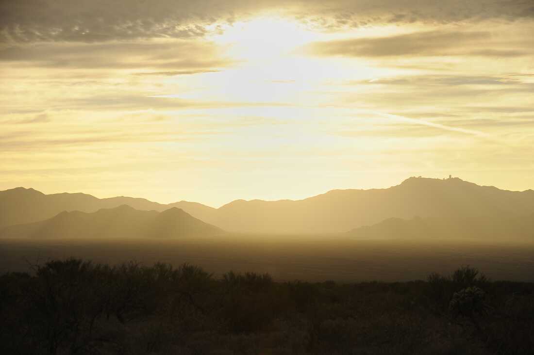 The Sonoran Desert near Sasabe, Ariz. in Pima County. 