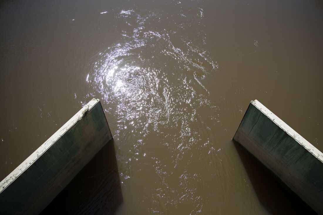 Water flows between Skagit Bay and the Tom Moore Slough levee, near Big Ditch, on April 8, 2026, near Stanwood, Wash.