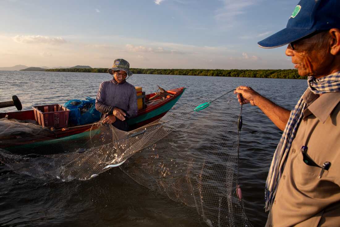 Local fisheries on the coast of Cambodia struggled with decimated fish populations for years. Today, they are teaming with seafood, thanks to local ecological restoration efforts. Here, on right, Koh Kresna village chief Khiev Sat talks with a fisherman about the day’s catch.