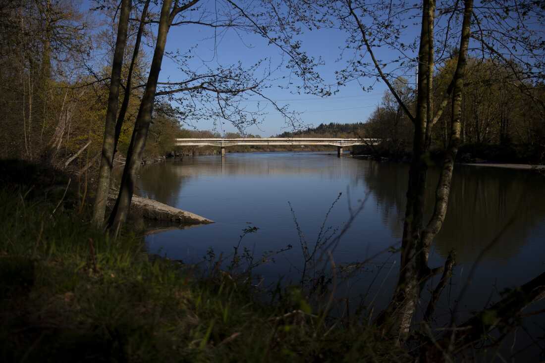 The Stillaguamish river is shown on April 8, 2026, south of Stanwood, Wash.