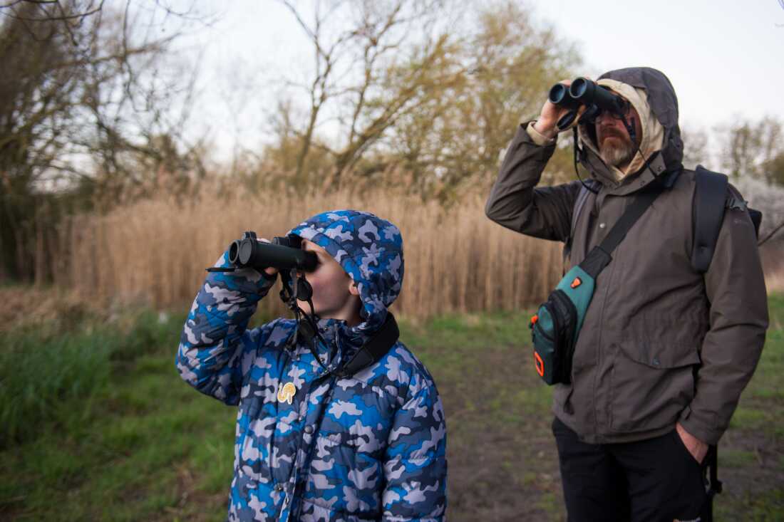 A boy, Oliver Hughes, and his father, Michael Hughes, look through binoculars while scanning the surrounding marshland for beavers.