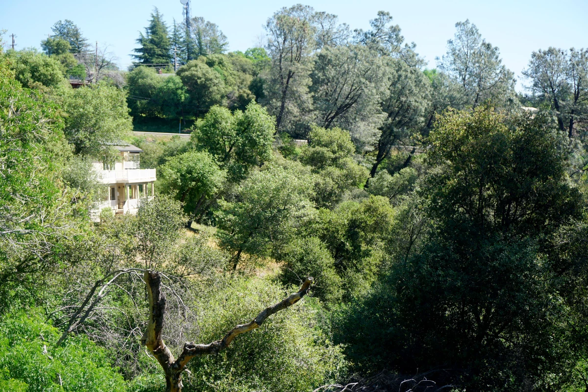 With thick vegetation and steep hillsides, Placerville, Calif. is working on reducing the risk of a catastrophic wildfire. Experts say the biggest impact comes from entire neighborhoods working together.