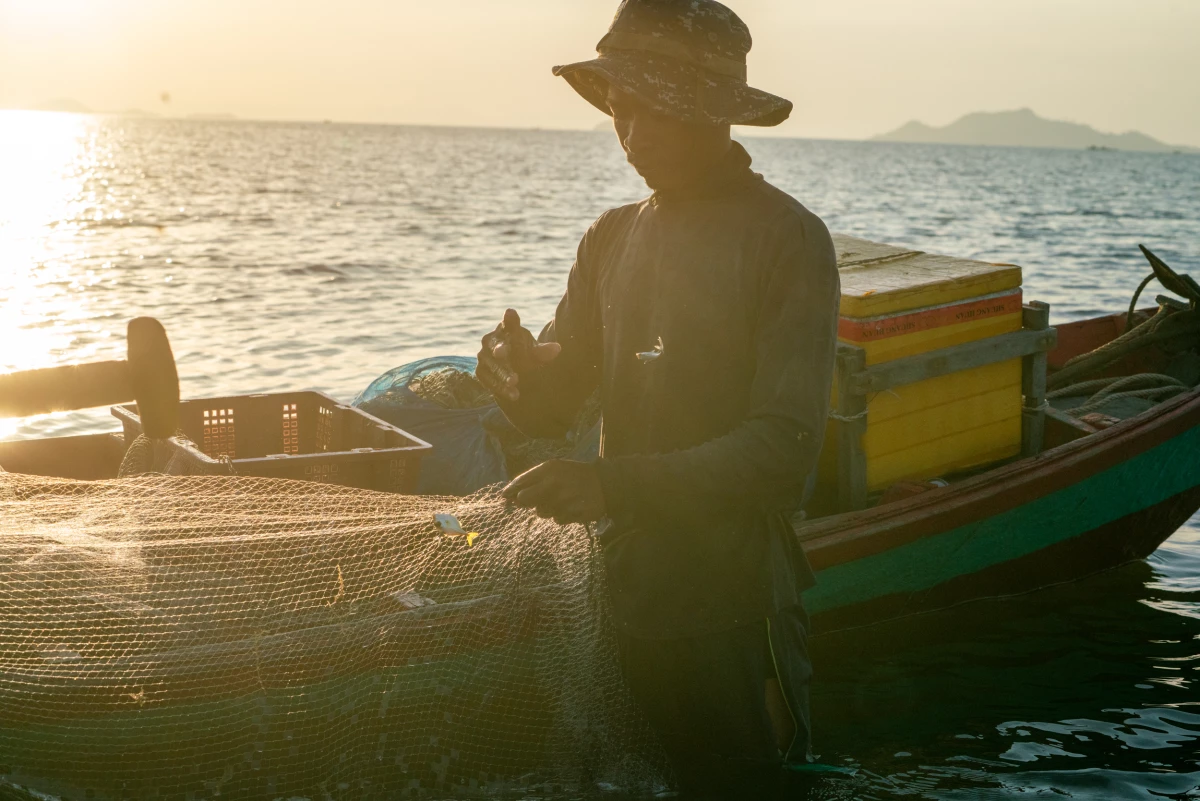 A fisherman sorts through his catch at sunset.