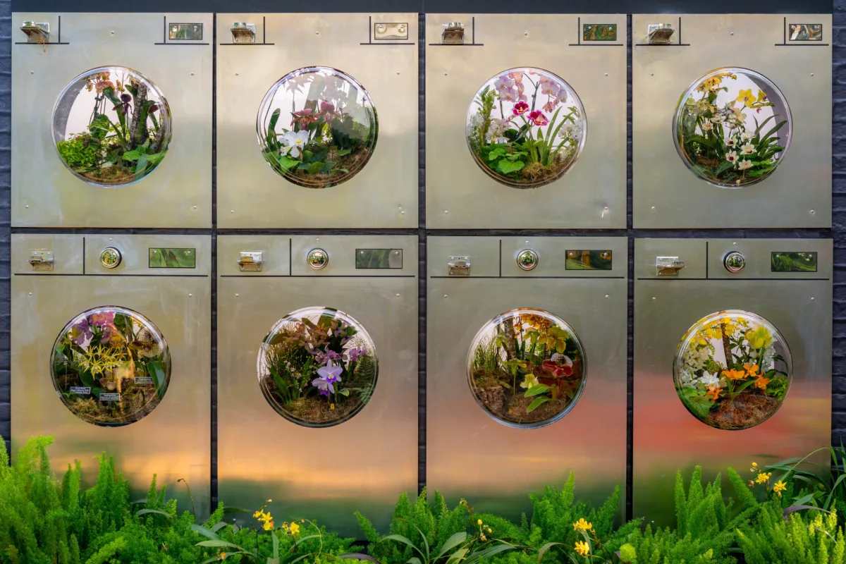 This re-creation of a laundromat uses the washing machines as terrariums.