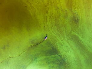 A team of scientists studies an algae bloom in a lake in Ontario. They are researching how to monitor and predict the blooms, which cause environmental and economic harm.