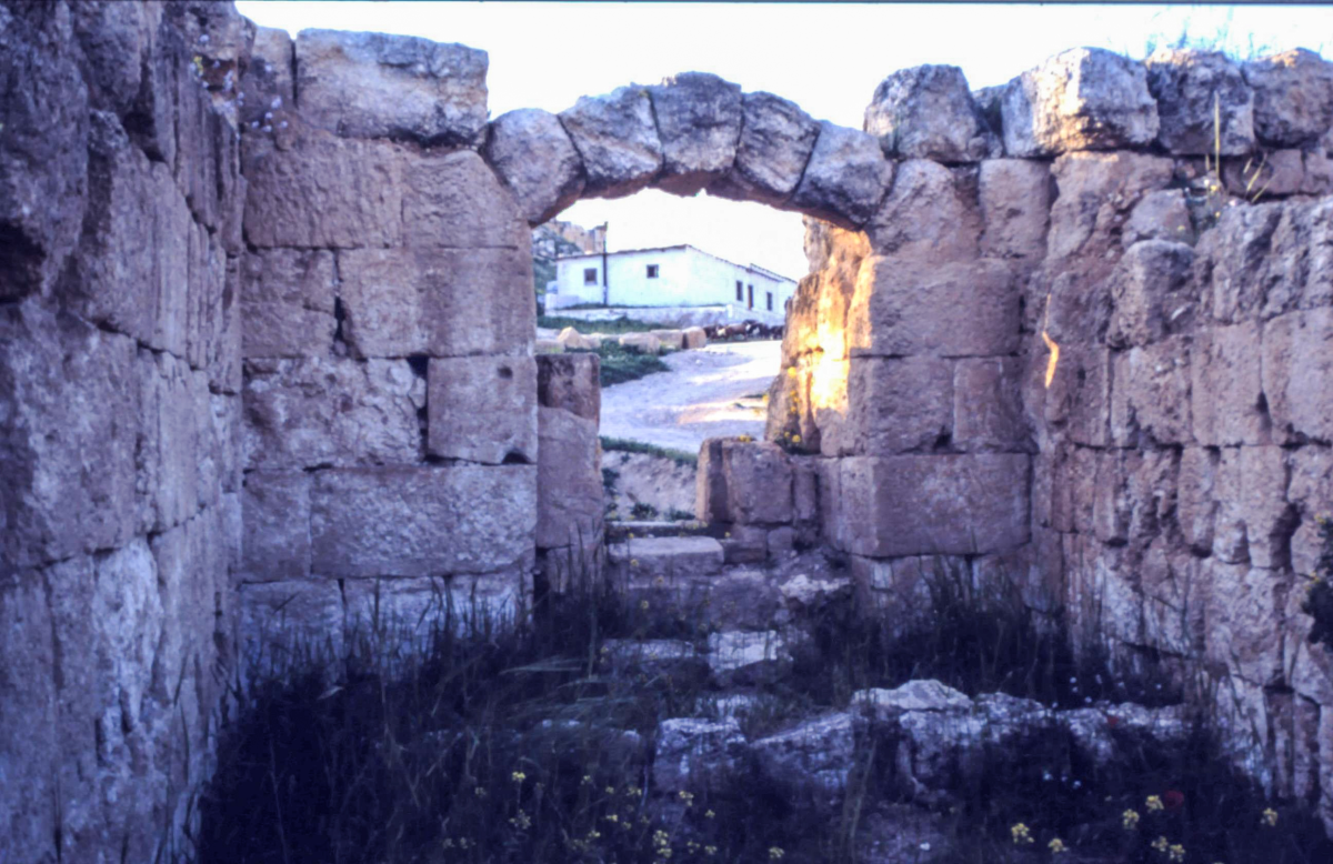 The Hippodrome chamber in Jerash, where the remains of people who died of the plague in the 7th century were found.