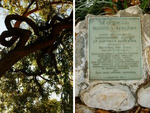 A mature tree; signage from September 1958 crediting the groups that created the garden.
