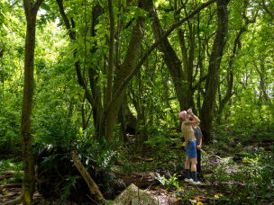 The Nature Conservancy's Alexandra Corti searches the forest with binoculars. At most, only a few dozen people stay on Palmyra Atoll at a time, living temporarily at the small research station.