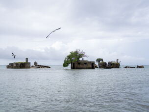 During World War II, the U.S. military built bunkers, supply buildings and a runway on Palmyra Atoll, the remnants of which are still visible today.