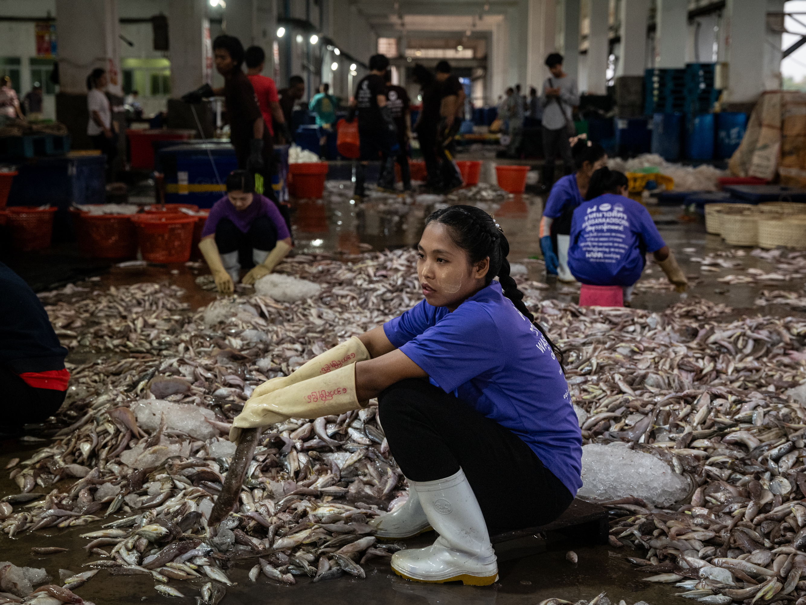 Vessel Ranong Photos: How overfishing in Southeast Asia is an ecological and human ...