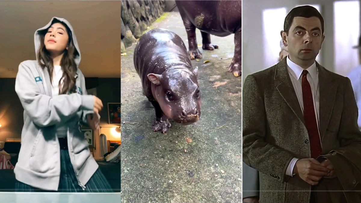Scenes from some of the most popular TikToks from the Global South in 2024: a dancing teen from the Philippines; that adorable baby pygmy hippo in Thailand; Mr. Bean makes a guest appearance in a TikTok by Khaby Lame.