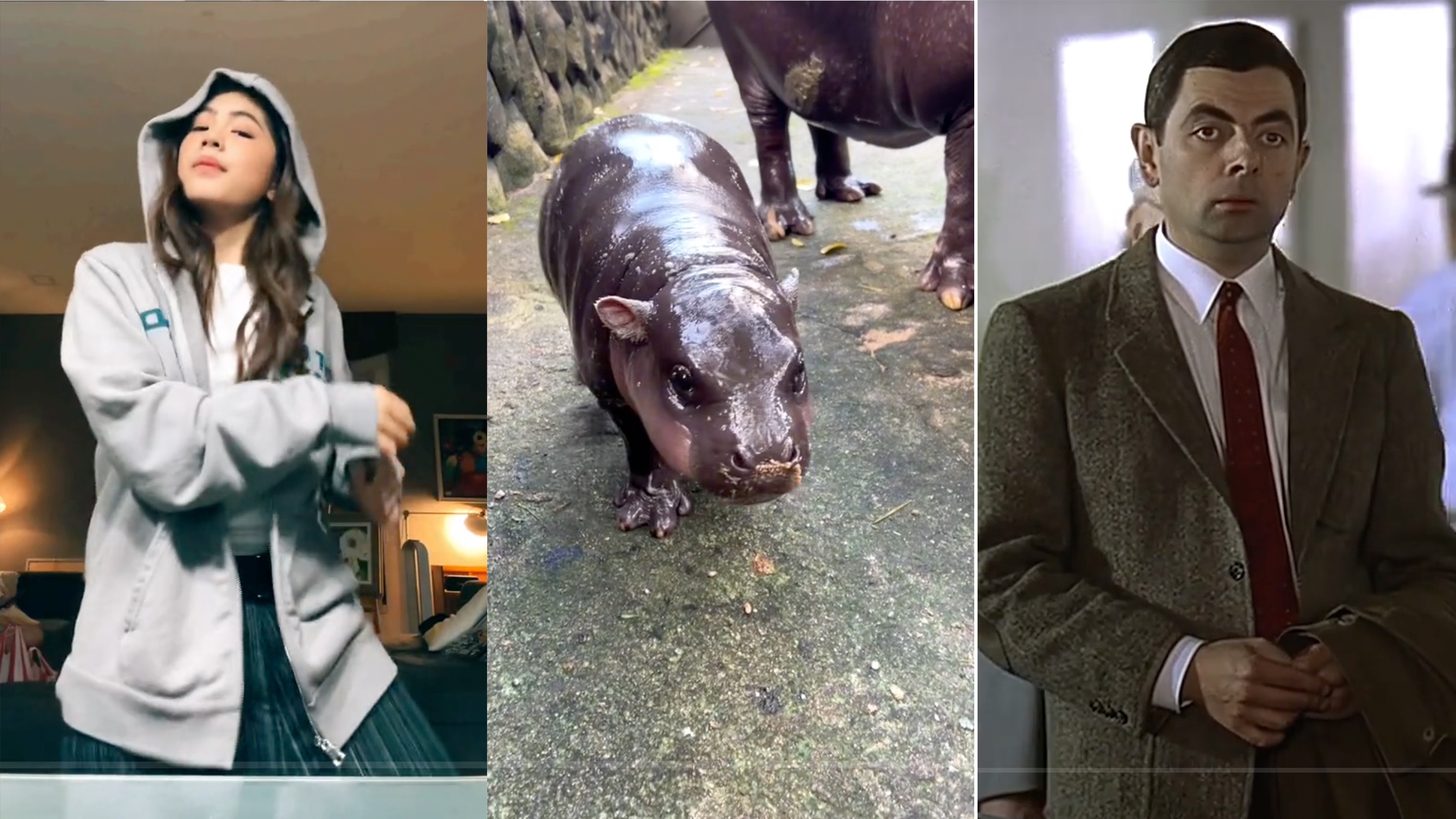 Scenes from some of the most popular TikToks from the Global South in 2024: a dancing teen from the Philippines; that adorable baby pygmy hippo in Thailand; Mr. Bean makes a guest appearance in a TikTok by Khaby Lame.
