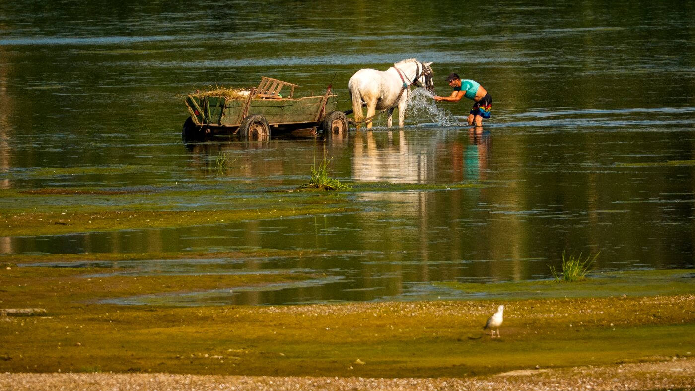 Europe heat wave fuels drought, fires and energy fears
