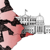 Illustration of states morphing into the U.S. Capitol and White House