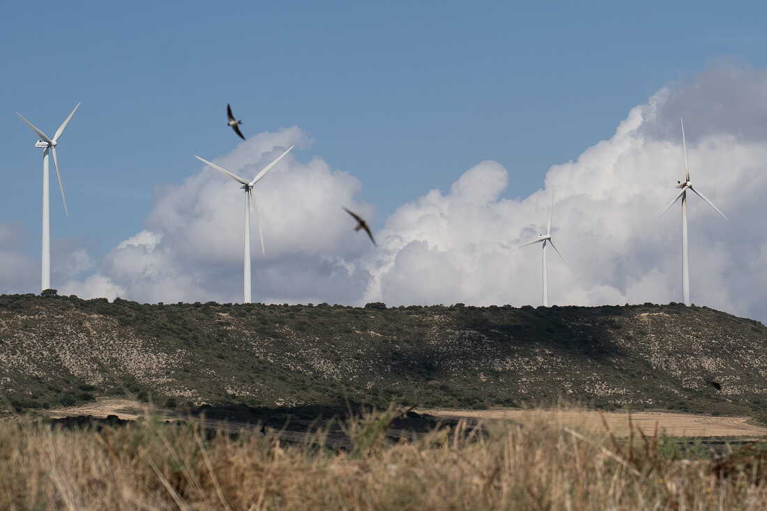 HUESCA, SPAIN - SEPTEMBER 29, 2026 Swallows fly in front of wind turbines near Huesca, Spain on September 29, 2026. The Spanish region of Aragon is seeing a huge surge in data center construction which has alarmed many local residents due to their high energy use, noise pollution and heat generation. Amazon alone is building 30 data center buildings, according to papers the company filed with the regional government. The Aragon regional government has offered Amazon, Microsoft, and other tech companies tax breaks to build there. Local residents say that the government has appropriate land agains the will of the owners to pave the way for the centers and their infrastructure to be built. (Photo by Michael Robinson Chávez for National Public Radio)