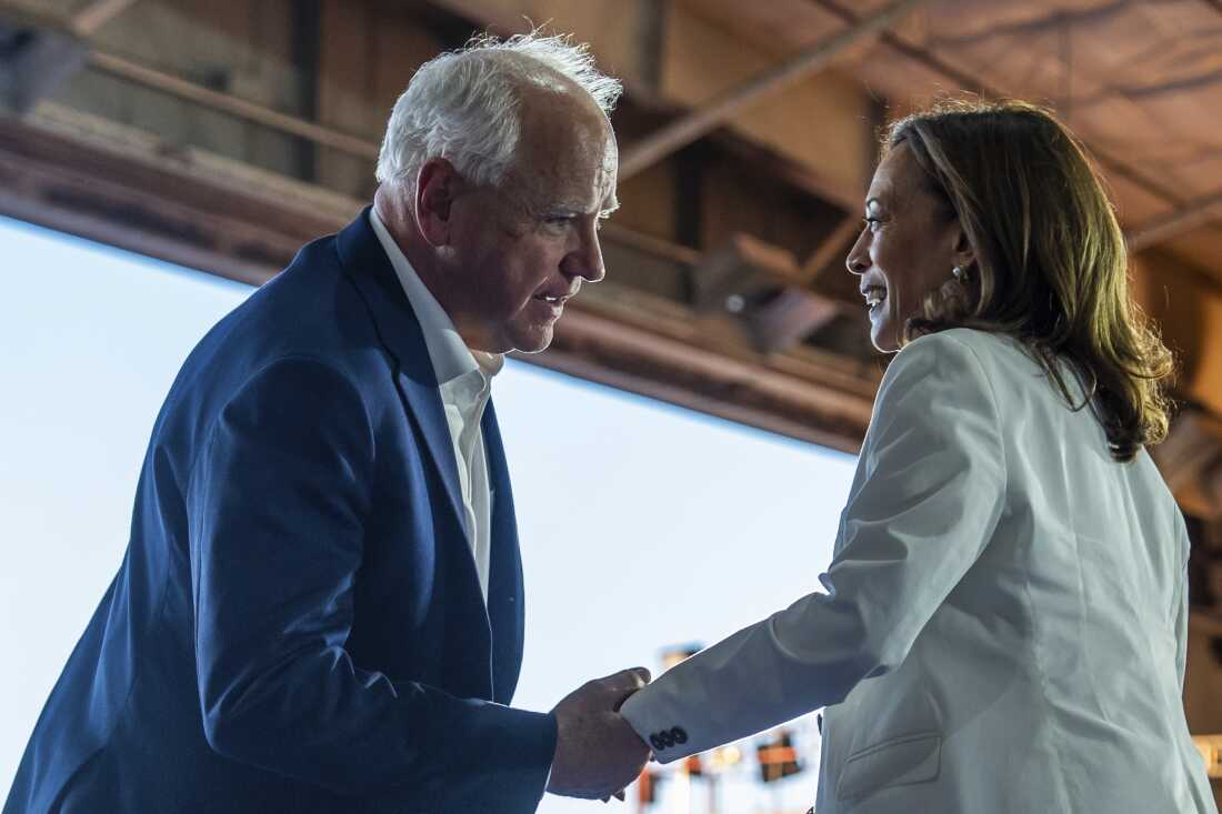 Democratic presidential nominee Vice President Kamala Harris and her running mate Minnesota Gov. Tim Walz hold hands during a campaign rally at Detroit Metropolitan Wayne County Airport, Wednesday, August 7, 2024, in Romulus, MI.