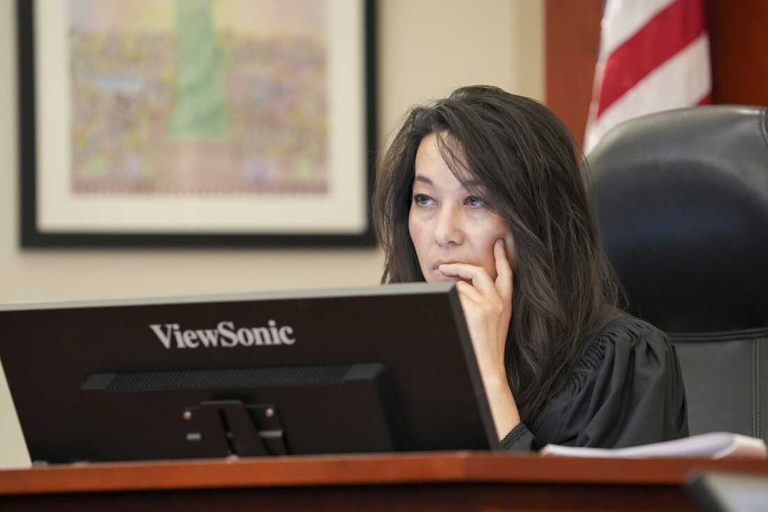 Utah District Judge Dianna Gibson presides during a hearing in 2024.
