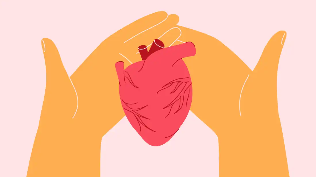 Two hands embrace a heart for donation