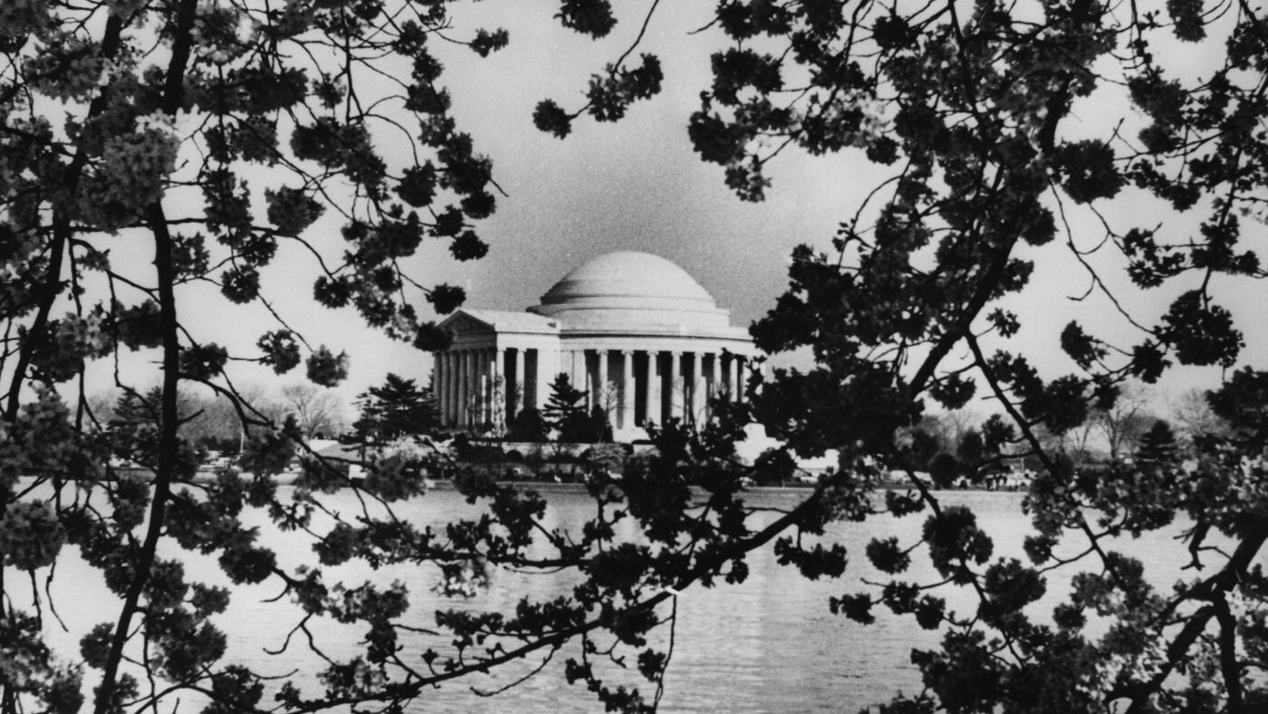 As D.C.'s cherry blossom trees near peak bloom, here's a guide to their history