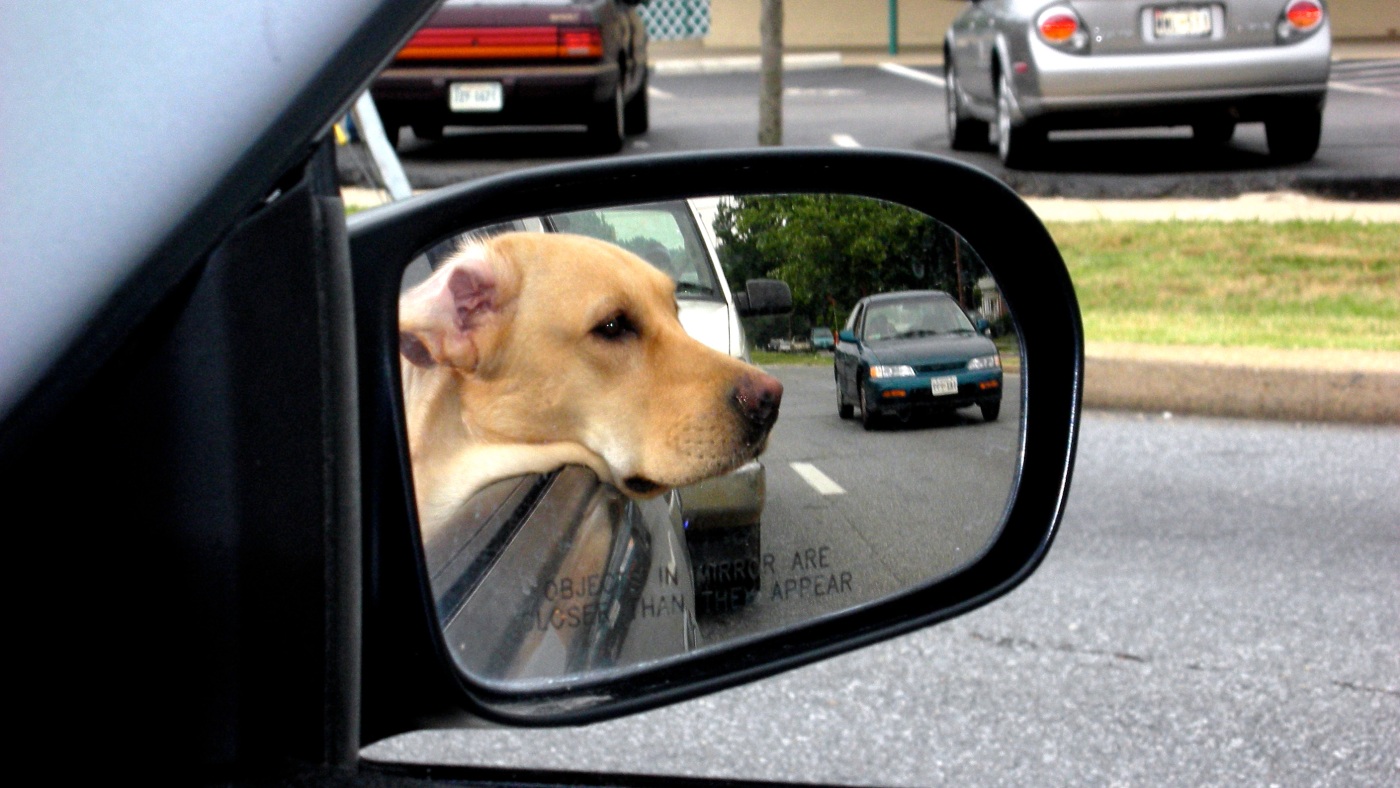 What’s the perfect roadtrip playlist? : All Songs Considered What’s the perfect roadtrip playlist? : All Songs Considered